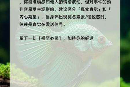 心理测试-你喜欢哪个书签，测测你的第六感准不准