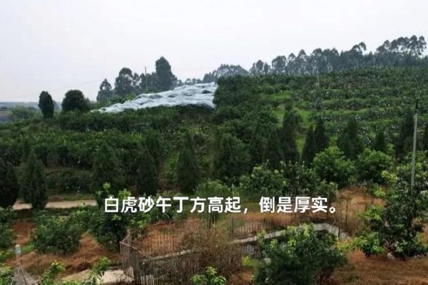 中国风水第一村——三僚村介绍