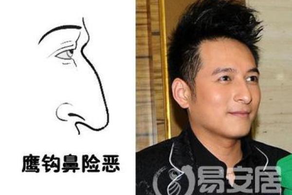 面相风水鹰钩鼻女人的好处和缺点