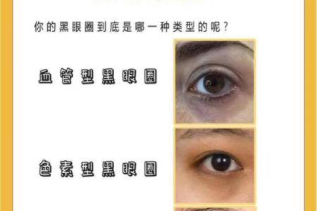 眼睛黑眼珠子多算命