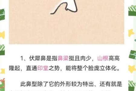 面相风水鹰钩鼻女人的好处和缺点