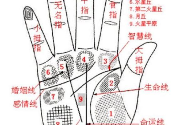 头发做法事和合,算命的人说的用头发跟指甲进行 头发做法事和合,算命的人说的用头发跟指甲进行