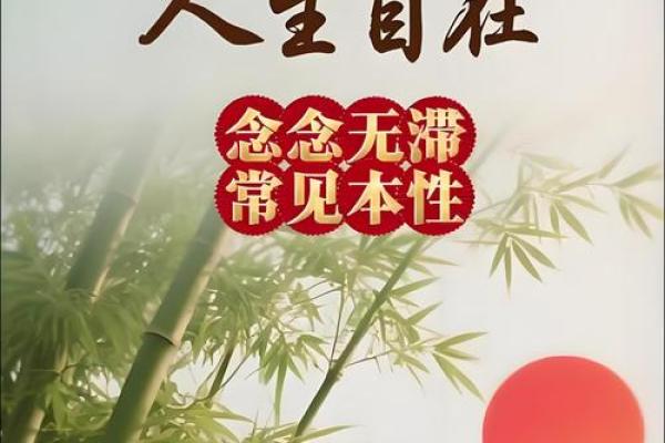 人生的八字好命运就好