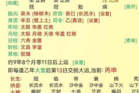 八字未月命宫是什么意思