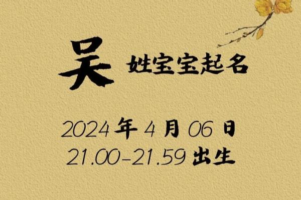 宝宝起名吴姓名测试