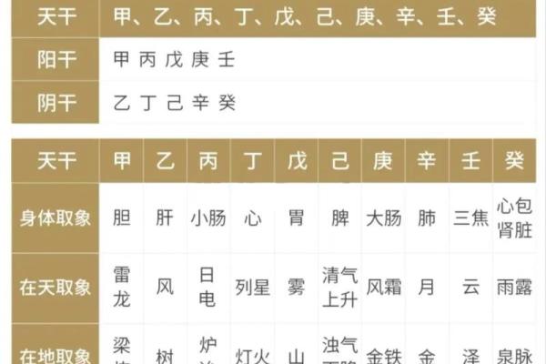 什么叫四柱八字_干支起名