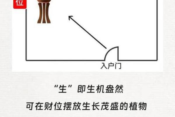 财位、桃花在商业办公室风水的作用
