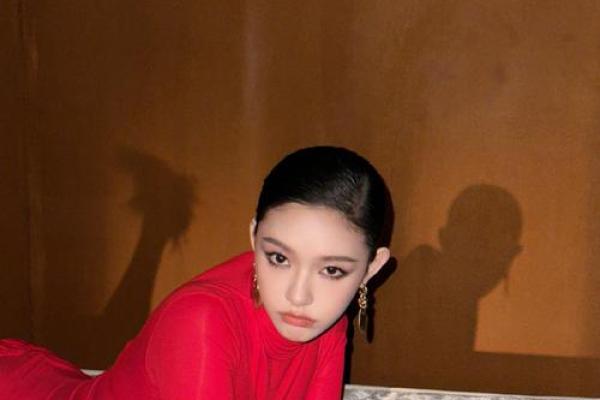 林允紫薇斗数 林允紫薇斗数