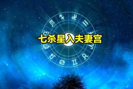 紫薇斗数七杀怕陀螺么