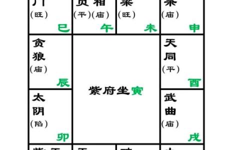 紫微斗数诸星落命宫之：左辅星、右弼星详解