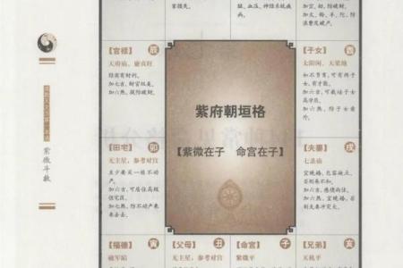 紫微斗数之田宅宫与诸星，巨门星在田宅宫是什么意思？