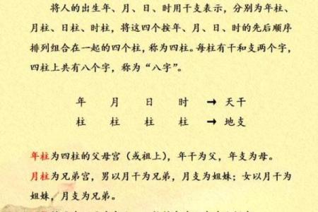 什么八字带贵子，命带天月二德前世可积德，一起看看吧