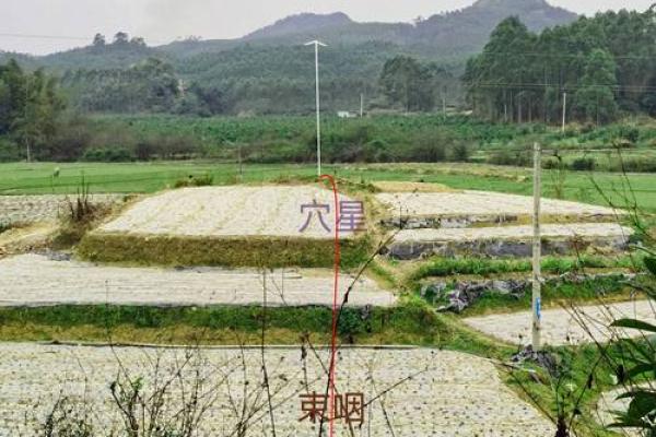 怎样看坟墓风水好不好