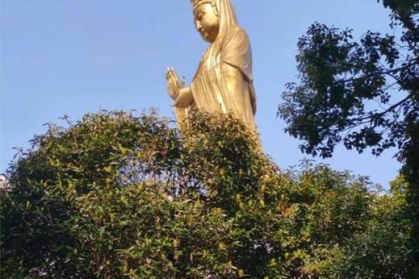 普陀山可以算命不给钱吗 普陀山可以算命不给钱吗