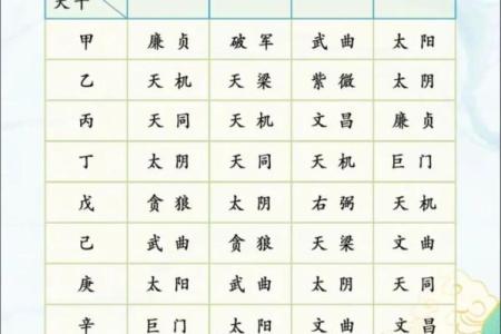 《紫薇斗数全书》下载