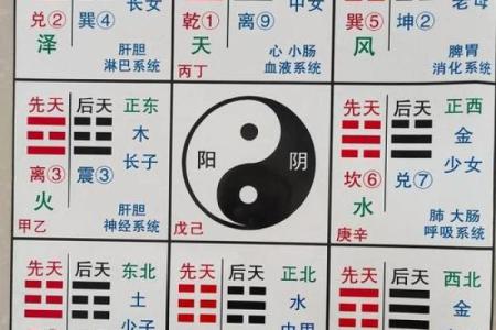 八字取名免费测算,八字算命免费测八字起名