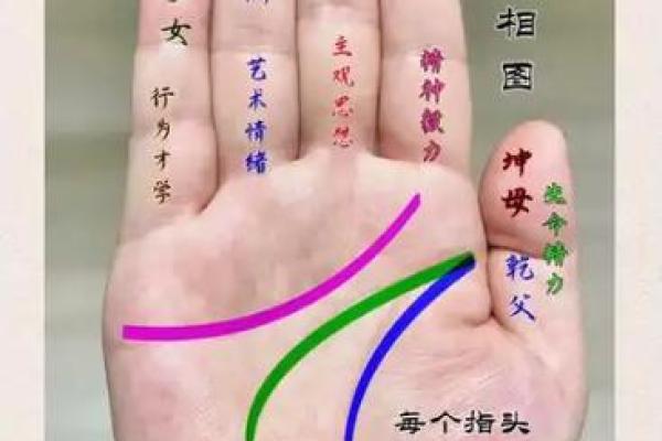 手型算命:兼形手的特质和命运 手型算命:兼形手的特质和命运