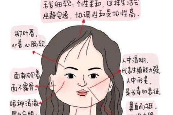 如何从下巴看相算命 如何从下巴看相算命
