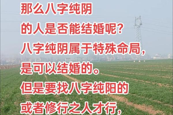 八字同性恋 八字同性恋