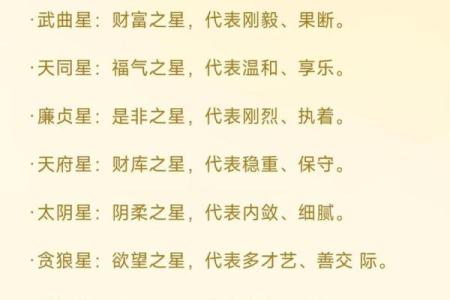 紫薇斗数pdf