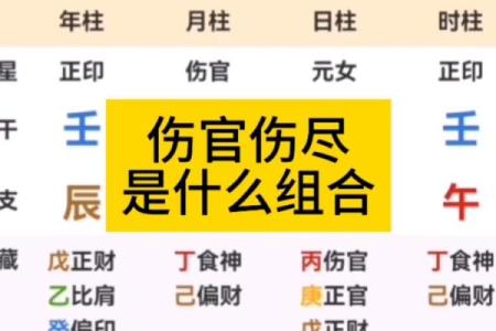 女命伤官伤尽八字