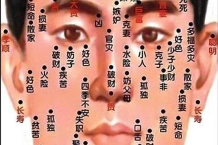如何从下巴看相算命