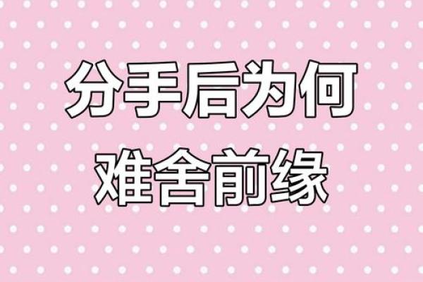 为什么八字合的也会分手 为什么八字合的也会分手