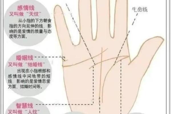 女手相算命图解