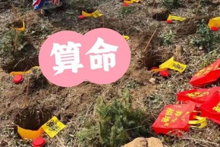 山东男子听大师算命迷信儿子是“使者转世” 被骗走53万