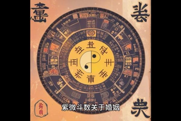 紫薇斗数婚运算正式 紫薇斗数婚运算正式