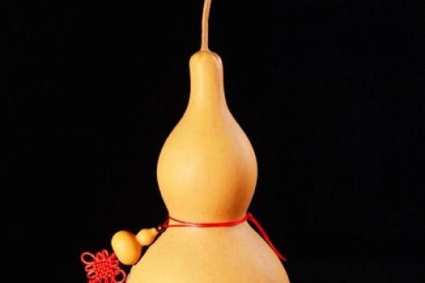 阳宅招财风水在家里放什么最好