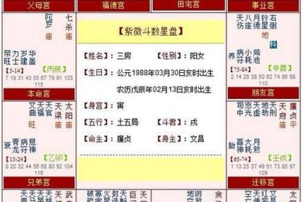 紫薇斗数大子女
