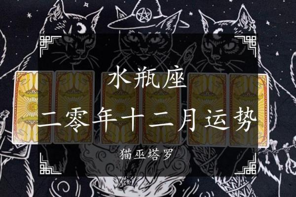 塔罗测试：未来两个月你的学习运势如何