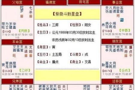 紫薇斗数大子女