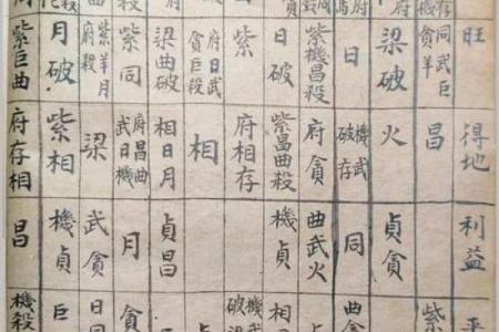 紫微斗数rumen 紫微斗数入门全书？