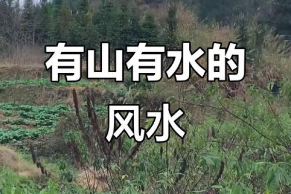 什么样的风水宝地最好