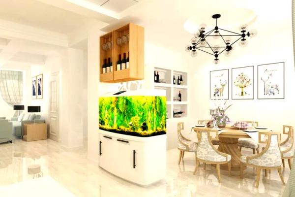 养鱼的喜忌：家庭养鱼风水讲究