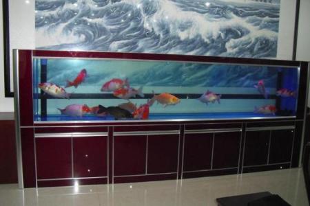 养鱼的喜忌：家庭养鱼风水讲究