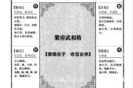 紫微斗数诸星落诸宫之：天府星子女宫详解