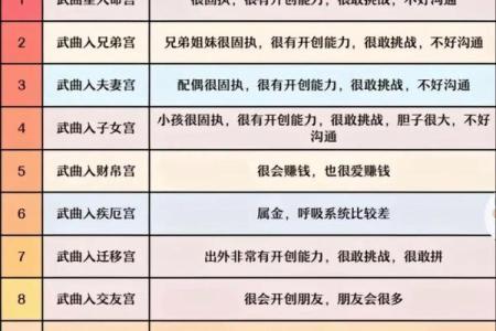 紫薇斗数哪个版本好看