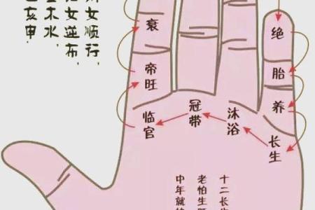 测八字免费算命婚姻宫