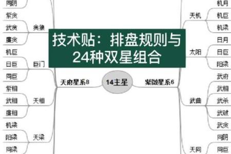 包含紫薇斗数菜鸟入门的词条