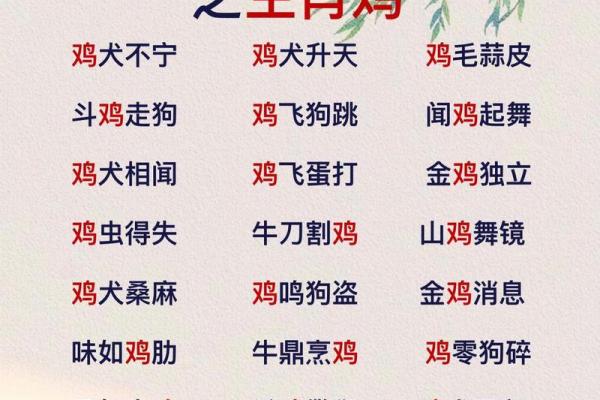 母鸡打鸣算命怎么说,母鸡在早晨打鸣预示什么