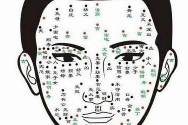 脸上各部位的胎记算命