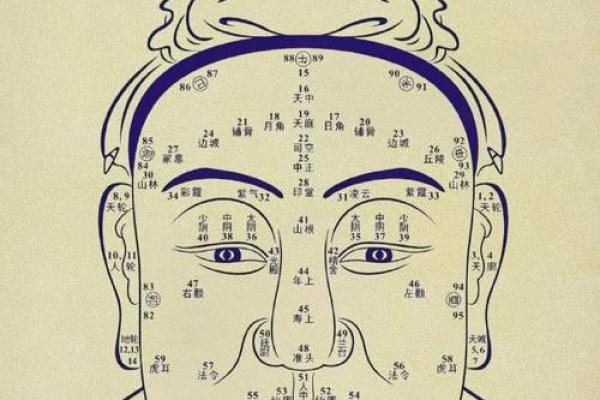 下巴算命看人生，面相下巴看你的人生祸福