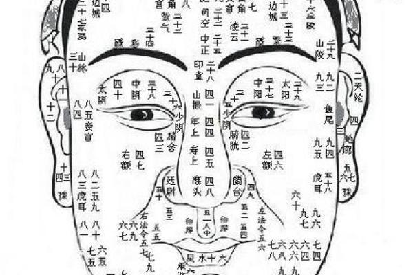 下巴算命看人生，面相下巴看你的人生祸福