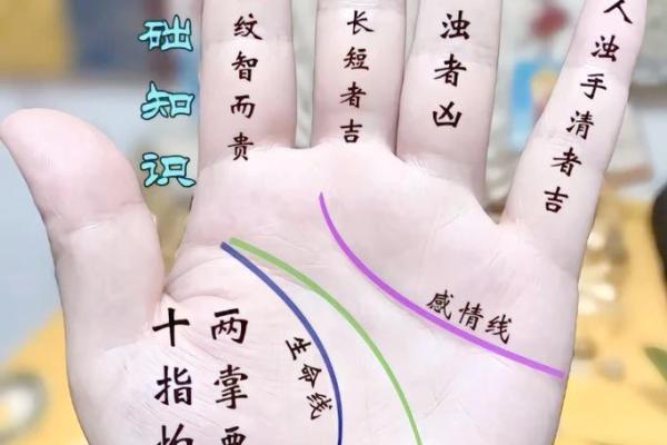 手相算命：什么样的手相最有偏财运
