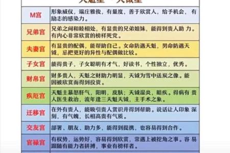 紫薇斗数初学入门