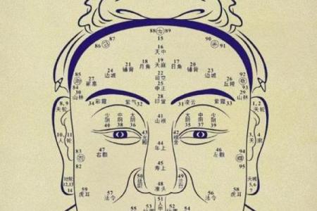 下巴算命看人生，面相下巴看你的人生祸福