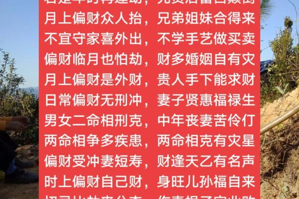 今日八字运势详解：财运、感情、职场、健康，一网打尽